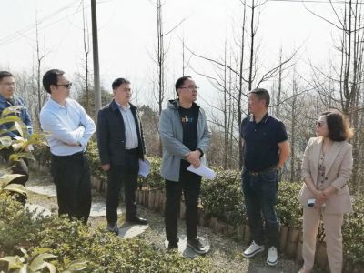 幸运彩乡村发展集团与都江堰市政府召开项目推进交流会